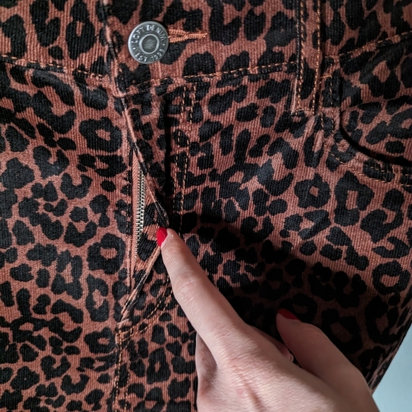 NWT Loft leopard print cord skinny pants - Picture 5 of 10